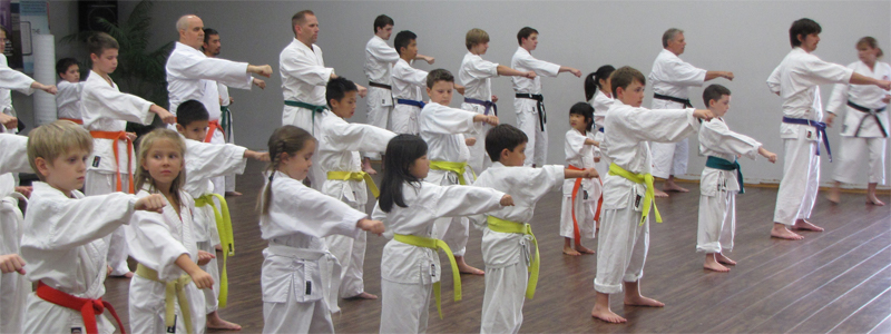 shotokan karate techniques